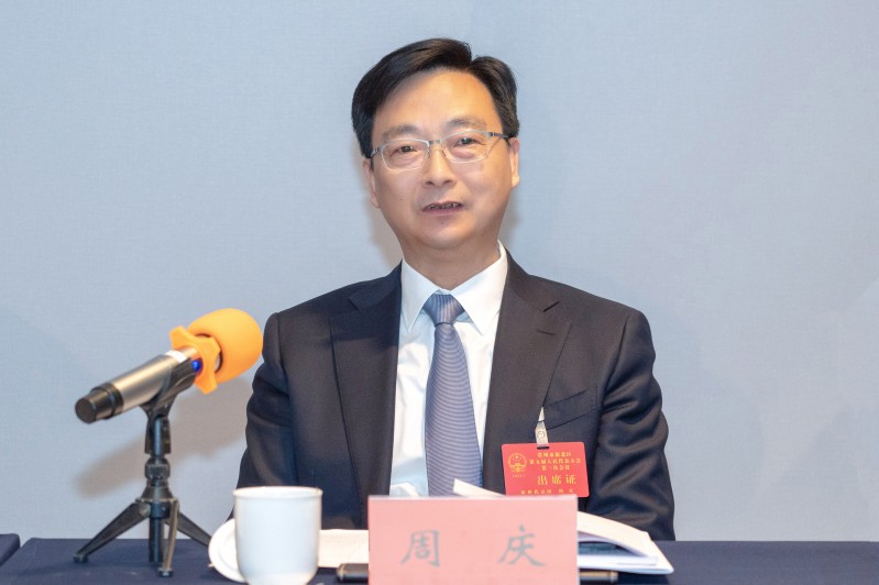 周庆参加分组审议