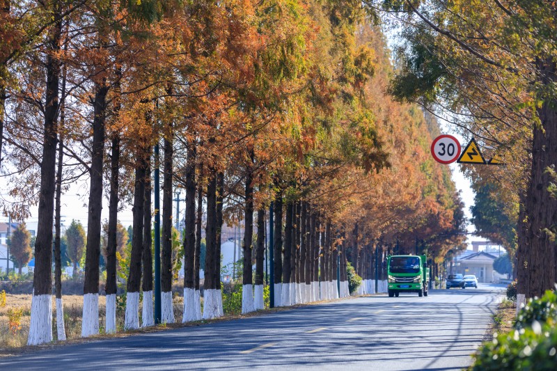 运河路